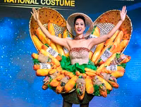 Những trang phục dân tộc Việt Nam từng chinh chến tại Miss Universe