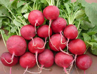 [ẢNH] Điểm danh những 