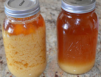 [ẢNH] Những thực phẩm không nên để tủ lạnh vì dễ biến chất