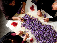 [ẢNH] Top 6 loại gia vị 