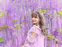 [ẢNH] Lạc bước nơi 