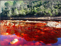 [ẢNH] Top 7 dòng sông kỳ lạ bậc nhất hành tinh