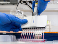 [ẢNH] Những phát hiện khoa học quan trọng của các nước về virus corona