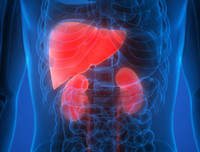 [ẢNH] Bí quyết giúp ăn Tết 