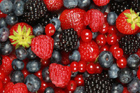 Những loại thực phẩm giúp các cặp vợ chồng hiếm muộn dễ thụ thai