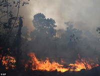 Cháy rừng Amazon: Bầu trời Brazil chìm trong khói tro, 3h chiều tối đen như giữa đêm