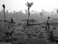 Cháy rừng Amazon: Bầu trời Brazil chìm trong khói tro, 3h chiều tối đen như giữa đêm