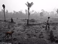 Cháy rừng Amazon: Bầu trời Brazil chìm trong khói tro, 3h chiều tối đen như giữa đêm