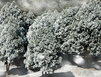 [ẢNH] Những địa điểm check in đẹp hết ý ở Hà Nội vào dịp Giáng sinh 2019