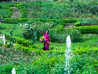 [ẢNH] Những địa điểm check in đẹp hết ý ở Hà Nội vào dịp Giáng sinh 2019