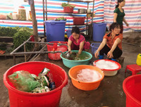 Nan giải tình trạng thực phẩm bẩn, 