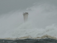 Hàng triệu người phải di tản, hàng hóa siêu thị bị 