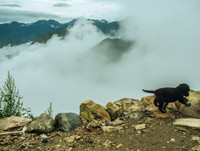 [ẢNH] Khám phá huyền thoại 