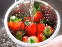 Hướng dẫn bảo quản và lựa chọn thực phẩm tươi ngon!