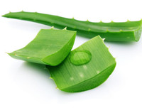 [ẢNH] Những giải pháp tự nhiên giúp điều trị nhiệt miệng cực hiệu quả