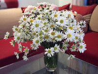 [ẢNH] Hút tài lộc vào nhà nhờ những mẹo phong thủy đơn giản