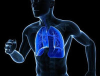 [ẢNH] 12 lợi ích bất ngờ của việc chạy bộ mỗi ngày