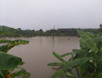 Thái Nguyên ngập lụt kỷ lục, ô tô 