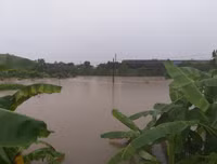 Thái Nguyên ngập lụt kỷ lục, ô tô 