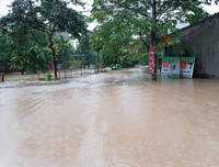 Thái Nguyên ngập lụt kỷ lục, ô tô 