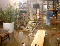 Thái Nguyên ngập lụt kỷ lục, ô tô 