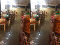 Thái Nguyên ngập lụt kỷ lục, ô tô 