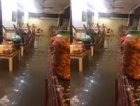 Thái Nguyên ngập lụt kỷ lục, ô tô 