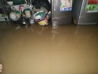 Thái Nguyên ngập lụt kỷ lục, ô tô 