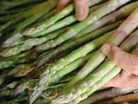 [ẢNH] Điểm danh những thực phẩm 