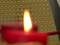 Chiêm ngưỡng cây thông Giáng sinh 2018 đắt đỏ nhất châu Âu