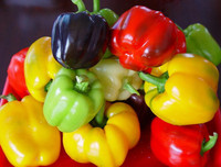 [ẢNH] 10 loại thực phẩm giúp bạn đẩy lùi nguy cơ ung thư vú