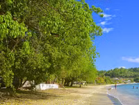 [ẢNH] Những loài thực vật cực độc nguy hiểm nhất trên thế giới