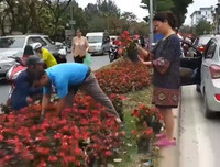 Hành xử xấu xí của một bộ phận người Việt tại siêu thị Auchan