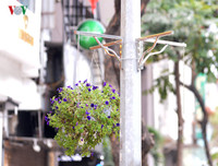 Hành xử xấu xí của một bộ phận người Việt tại siêu thị Auchan