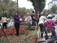 Hành xử xấu xí của một bộ phận người Việt tại siêu thị Auchan