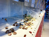 Hành xử xấu xí của một bộ phận người Việt tại siêu thị Auchan