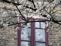 [ẢNH] Vũ Hán đón 