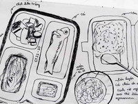 [ẢNH] Cô gái vẽ tranh về 14 ngày sống trong khu cách ly và những bộ nhật ký 