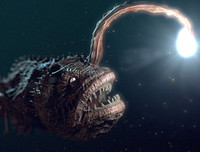 [ẢNH] Những sinh vật 