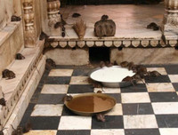 [ẢNH] Chiêm ngưỡng vẻ đẹp của những ngôi đền, chùa kỳ lạ trên thế giới