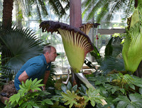 [ẢNH] Chiêm ngưỡng những loài thực vật 