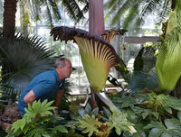 [ẢNH] Chiêm ngưỡng những loài thực vật 