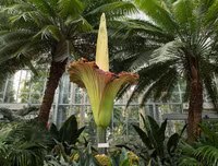 [ẢNH] Chiêm ngưỡng những loài thực vật 