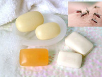 [ẢNH] Mẹo xử lý ban đầu khi bị côn trùng cắn