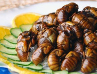 [ẢNH] Top 10 món ăn Nhật Bản khó nuốt nhất với du khách