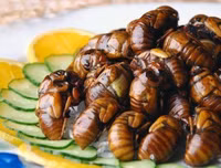 [ẢNH] Top 10 món ăn Nhật Bản khó nuốt nhất với du khách