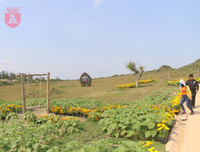 [ẢNH] Phim trường 