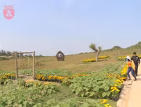 [ẢNH] Phim trường 