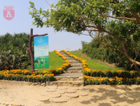 [ẢNH] Phim trường 