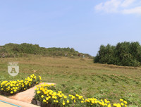 [ẢNH] Phim trường 